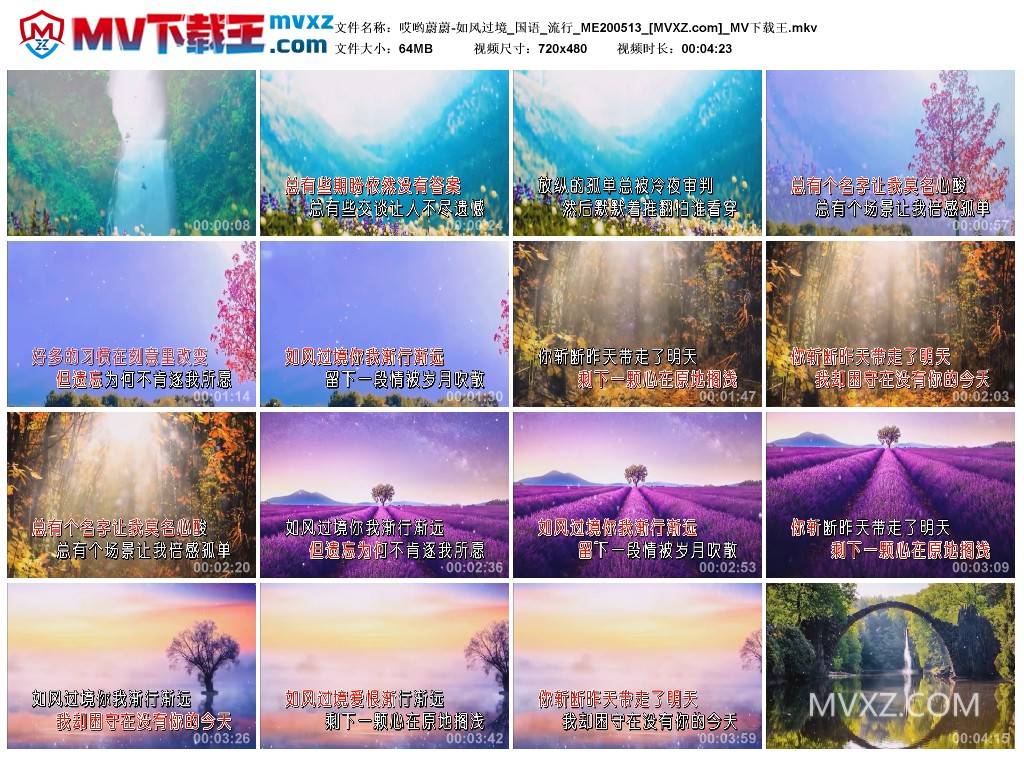 哎哟蔚蔚-如风过境_国语_流行_ME200513